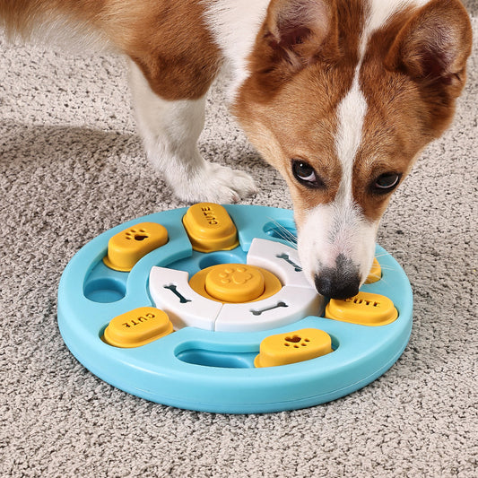 Pet Slow Feeder Bowl