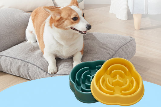 Dog Slow Food Bowl Anti-Choking Bowl