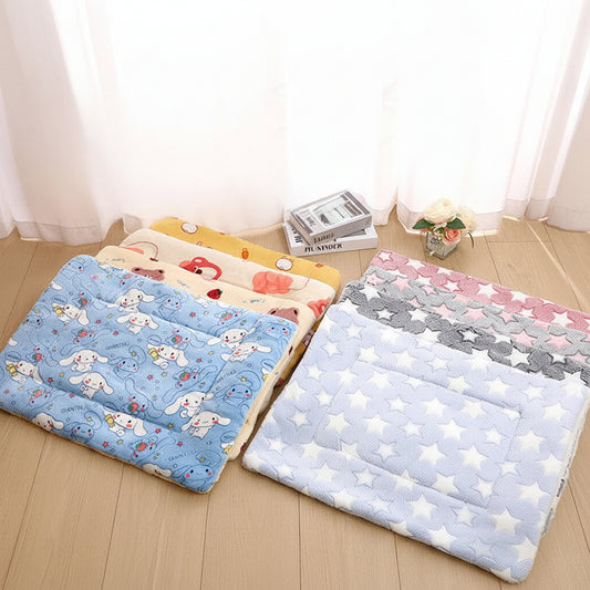 Double-sided pet pad