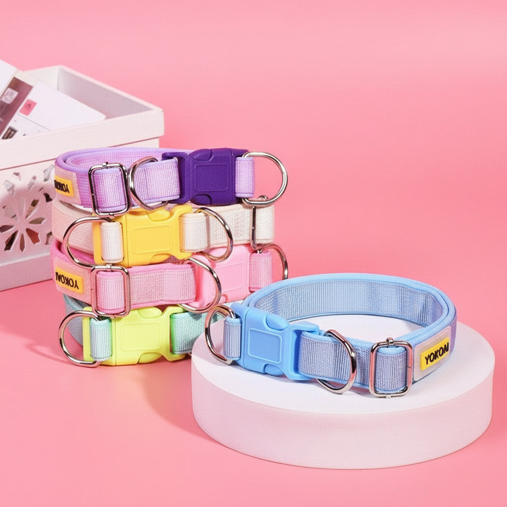 Adjustable Dog Collar with Leash