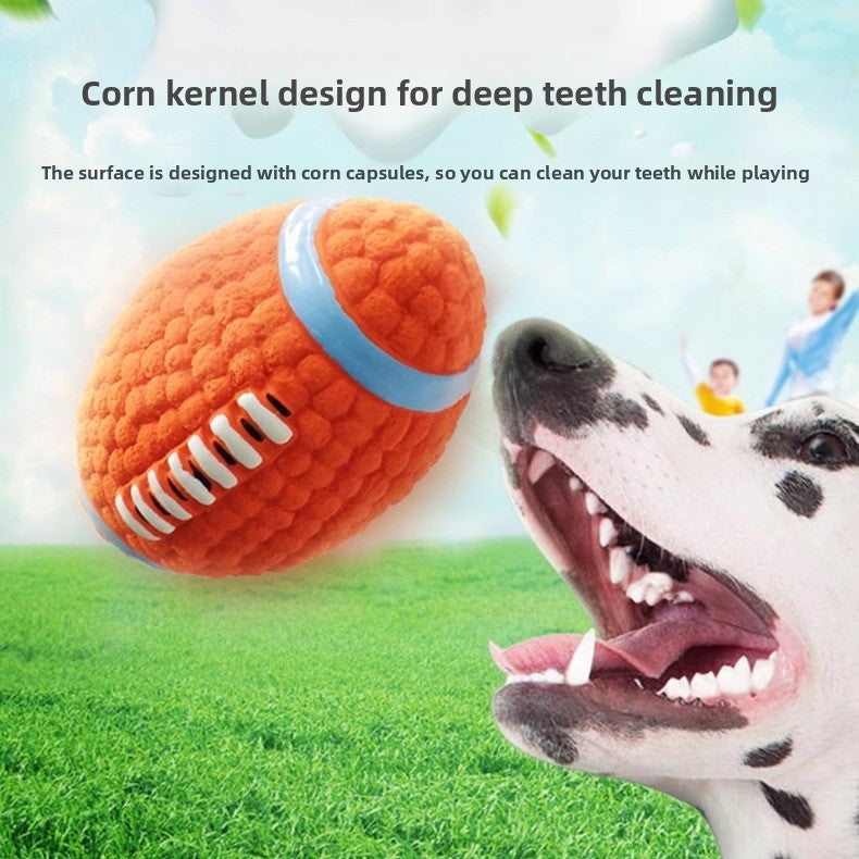 Pet Toy Ball