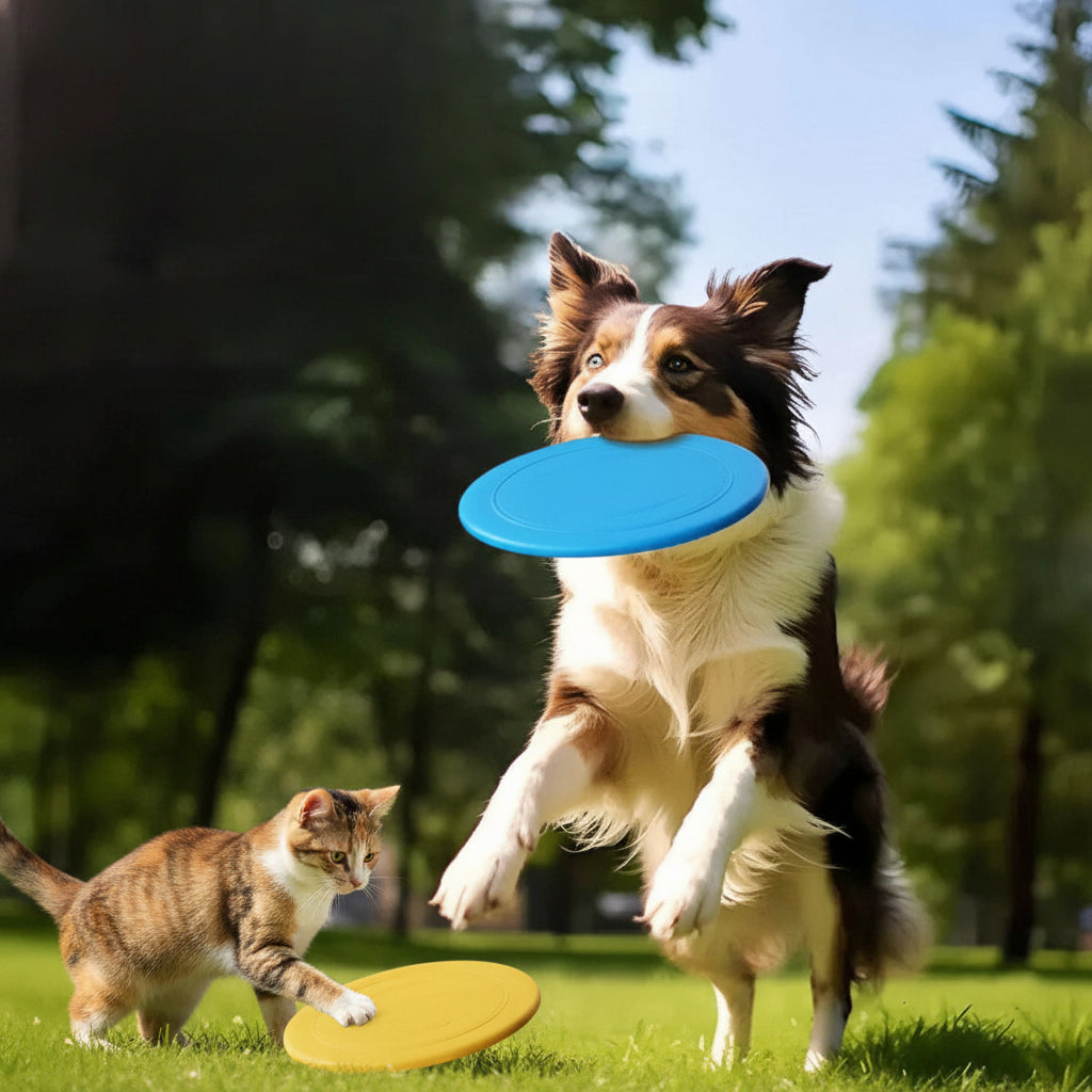 Durable Dog Training Frisbee