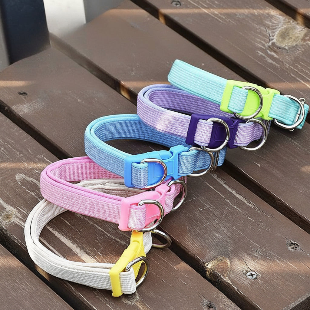 Adjustable Dog Collar with Leash